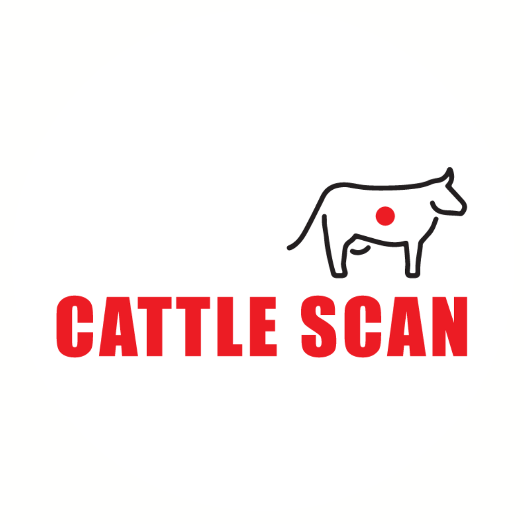 Cattle Scan