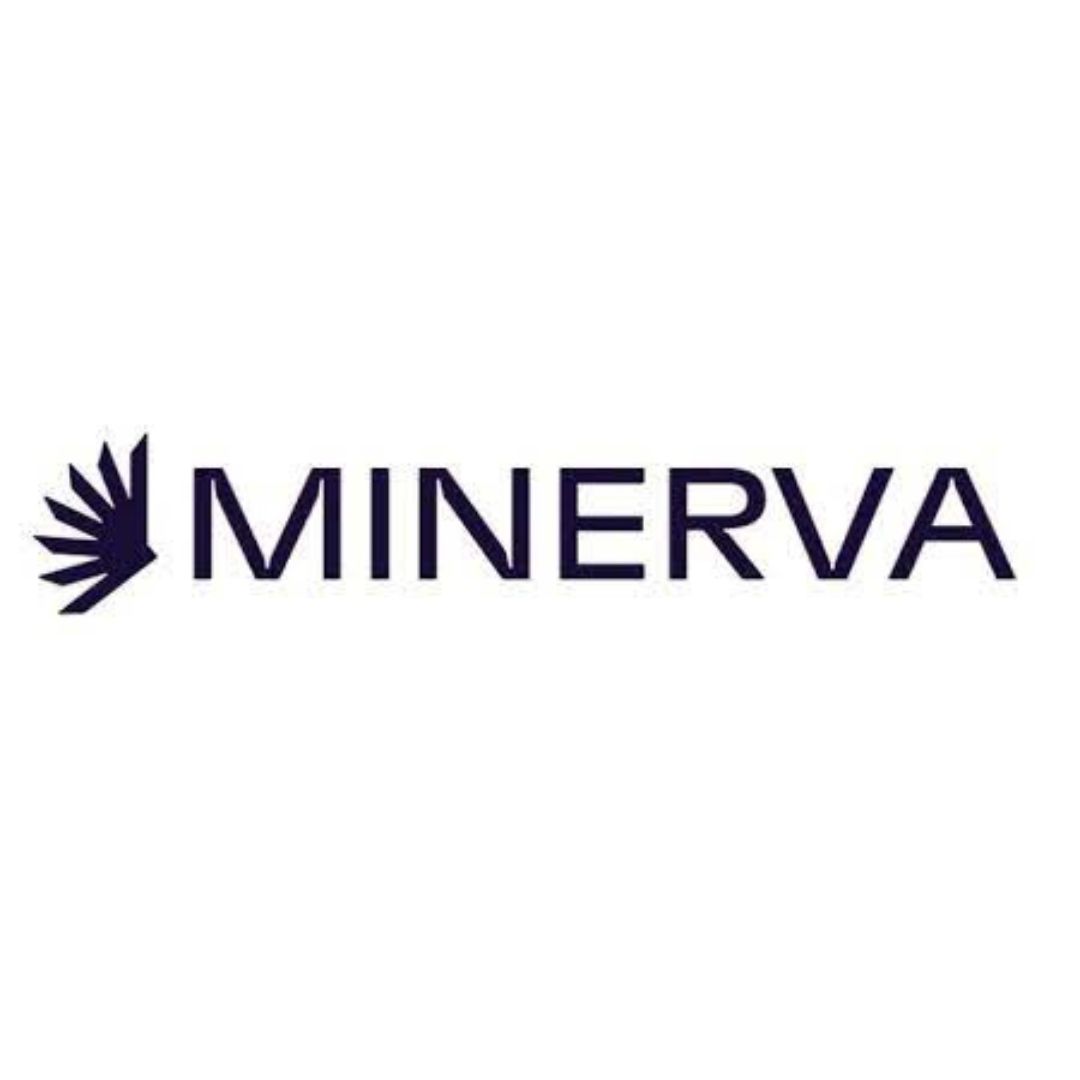 MinervaAI